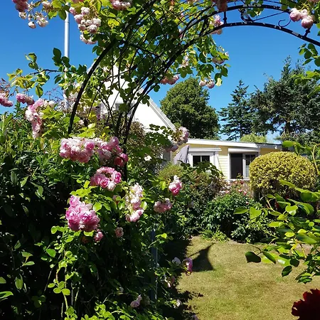 Ferienhaus-sonnenrose-loffhagen-studio-mit-balkon-und-gartenblick *